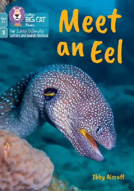 Meet an Eel: Phase 3 Set 1 Blending Practice by Ibby Alcraft