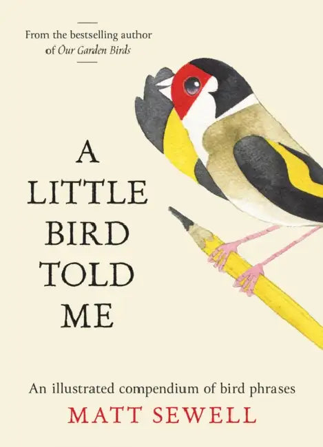 A Little Bird Told Me: An Illustrated Compendium of Bird Phrases by Matt Sewell