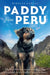 Paddy from Peru: The Incredible True Story of One Plucky Dog Who Crossed the World to Find His Forever Home by Mirelle Radley