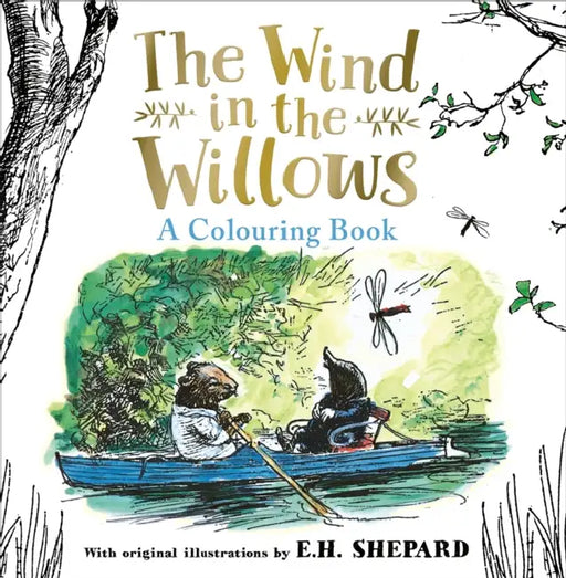 Wind in the Willows Colouring Book by Kenneth Grahame