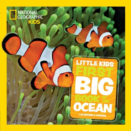 Little Kids First Big Book of The Ocean by Catherine D. Hughes