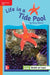 Reading Wonders Leveled Reader Life in a Tide Pool: Approaching Unit 4 Week 3 Grade 3 by McGraw Hill
