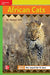 Reading Wonders Leveled Reader African Cats: Beyond Unit 6 Week 4 Grade 3 by McGraw Hill