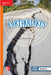Reading Wonders Leveled Reader Earthquakes: Approaching Unit 4 Week 2 Grade 2 by McGraw Hill