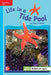 Reading Wonders Leveled Reader Life in a Tide Pool: On-Level Unit 4 Week 3 Grade 3 by McGraw Hill