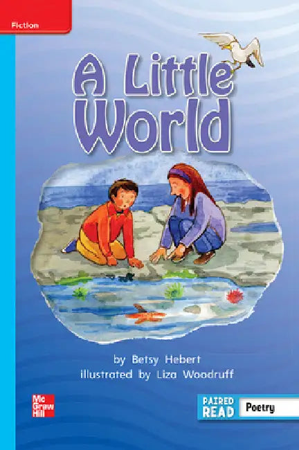 Reading Wonders Leveled Reader a Little World: On-Level Unit 4 Week 5 Grade 2 by McGraw Hill