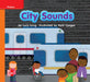 Reading Wonders Leveled Reader City Sounds: Approaching Unit 3 Week 2 Grade K by McGraw Hill