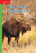 Reading Wonders Leveled Reader My Trip to Yellowstone: Beyond Unit 8 Week 2 Grade K by McGraw Hill