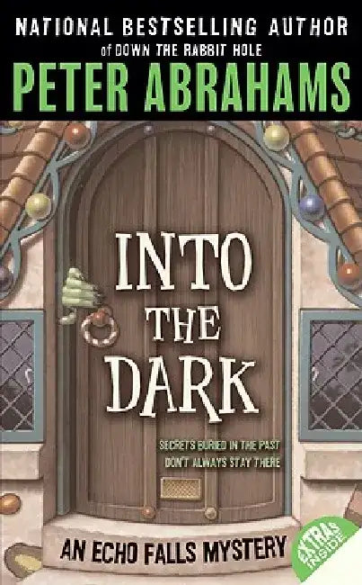 Into the Dark by Peter Abrahams