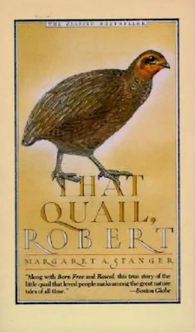 That Quail, Robert by Margaret Stanger