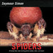 Spiders by Seymour Simon