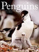 Penguins by Brutus Ostling