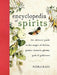 The Encyclopedia of Spirits: The Ultimate Guide to the Magic of Fairies, Genies, Demons, Ghosts, Gods and Goddesses by Judika Illes