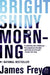 Bright Shiny Morning by James Frey