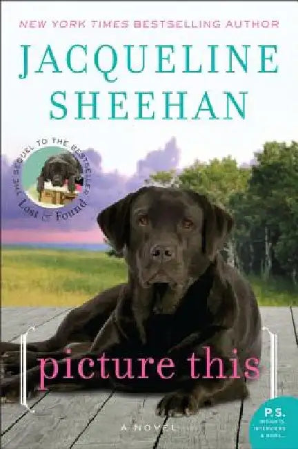 Picture This by Jacqueline Sheehan