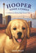 Hooper Finds a Family: A Hurricane Katrina Dog's Survival Tale by Jane Paley