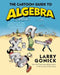 The Cartoon Guide to Algebra by Larry Gonick