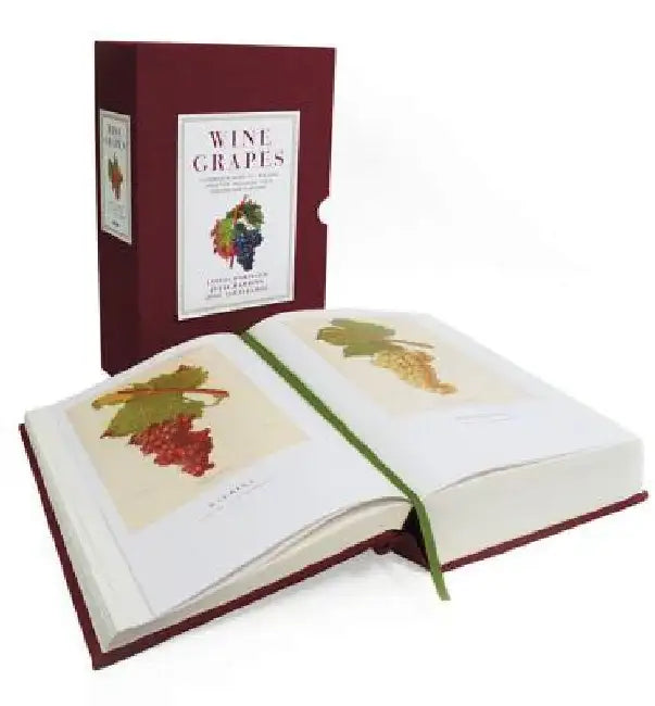 Wine Grapes: A Complete Guide to 1,368 Vine Varieties, Including Their Origins and Flavours by Jancis Robinson