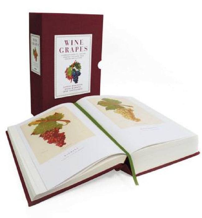 Wine Grapes: A Complete Guide to 1,368 Vine Varieties, Including Their Origins and Flavours by Jancis Robinson