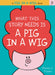 What This Story Needs Is a Pig in a Wig by Emma J. Virjan