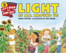 Light Is All Around Us by Wendy Pfeffer