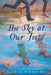 The Sky at Our Feet by Nadia Hashimi