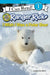 Ranger Rick: I Wish I Was a Polar Bear by Jennifer Bové