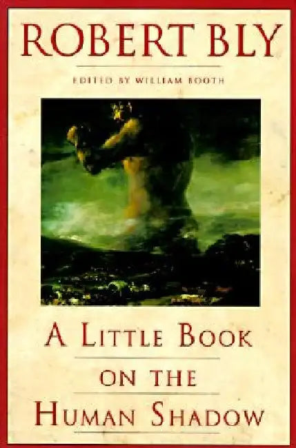 A Little Book on the Human Shadow by Robert Bly