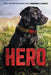 Hero by Jennifer Li Shotz