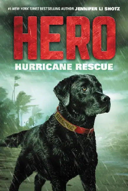 Hero: Hurricane Rescue by Jennifer Li Shotz