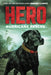 Hero: Hurricane Rescue by Jennifer Li Shotz