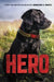 Hero by Jennifer Li Shotz