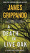A Death in Live Oak: A Jack Swyteck Novel by James Grippando