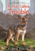 A Pup Called Trouble by Bobbie Pyron