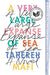 A Very Large Expanse of Sea by Tahereh Mafi