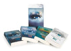 Shatter Me Series Box Set #1-4 by Tahereh Mafi