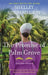The Promise of Palm Grove: Amish Brides of Pinecraft, Book One by Shelley Shepard Gray