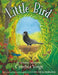 Little Bird by Cynthia Voigt