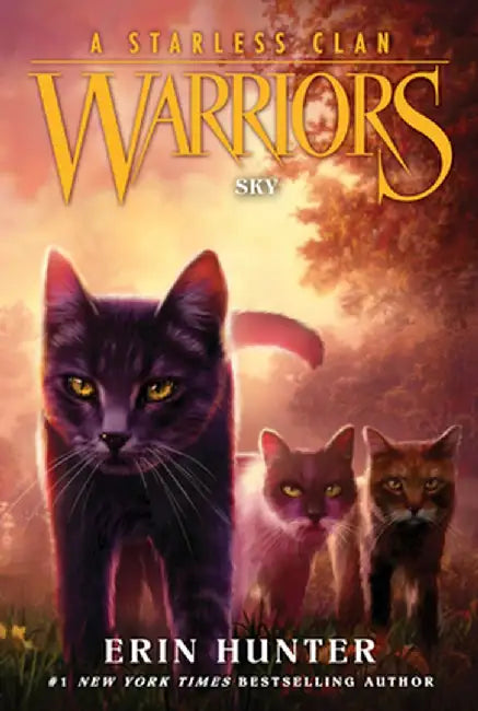 Warriors: A Starless Clan #2: Sky by Erin Hunter