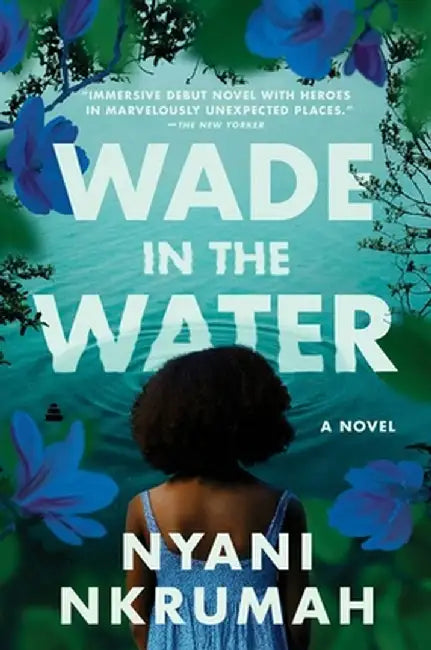 Wade in the Water by Nyani Nkrumah