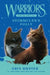 Warriors Super Edition: Stormclan's Folly by Erin Hunter
