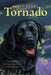Tornado by Betsy Byars