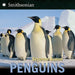 Penguins by Seymour Simon