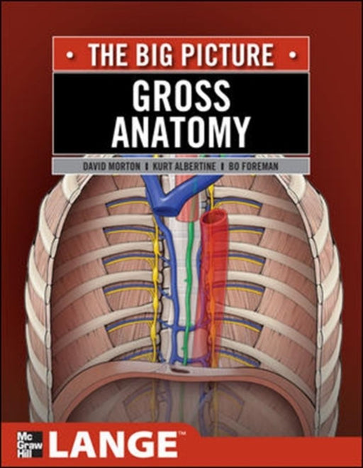 Gross Anatomy: The Big Picture by David Morton