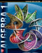 Algebra 1, Student Edition by McGraw Hill