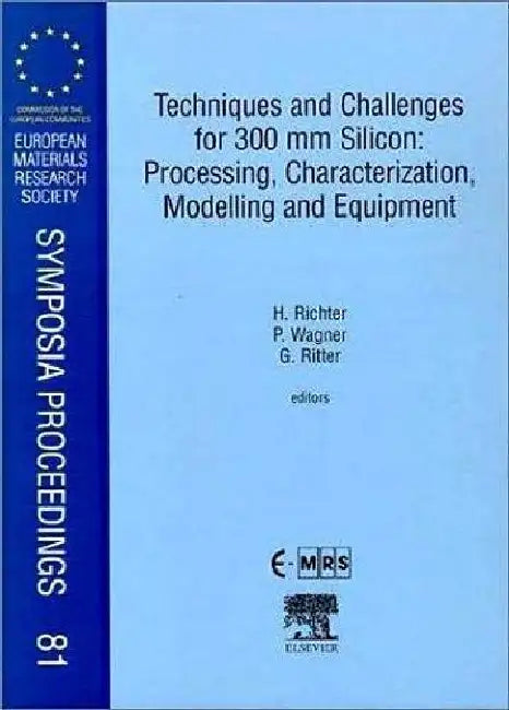 Techniques and Challenges for 300 mm Silicon: Processing, Characterization, Modelling and Equipment by Richter, Wagner , Ritter