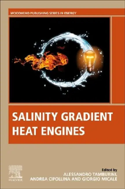Salinity Gradient Heat Engines by Alessandro Tamburini