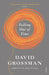 Falling Out of Time by David Grossman
