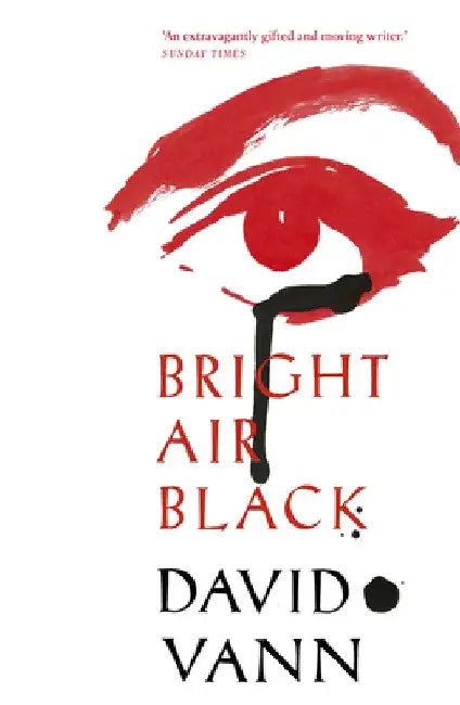 Bright Air Black by David Vann