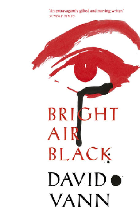 Bright Air Black by David Vann